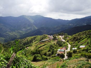 Scenic view of agricultural landscape against sky