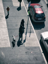 High angle view of people with dog by vehicles on street