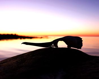Silhouette person on rock against sky during sunset
