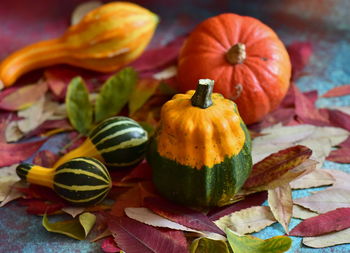 Close-up of multi colored organic pumpkins on table