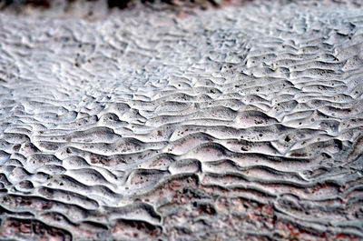 Full frame shot of textured surface
