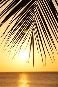 Scenic view of sea against sky at sunset