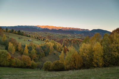 Scenic view of landscape against clear sky