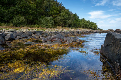 View of stream flowing through rocks