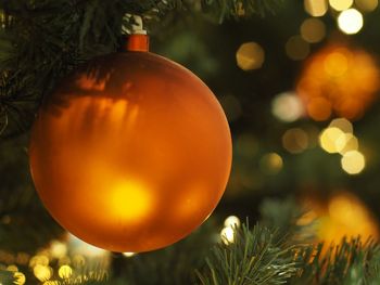 Close-up of illuminated christmas tree