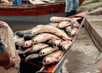 Fresh fish in a market boat