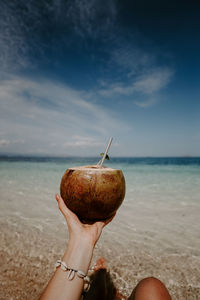 Cropped hand holding coconut at beach against sky