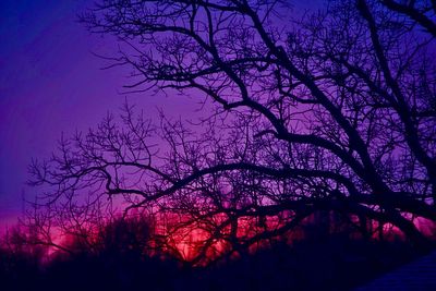 Silhouette bare tree against sky during sunset