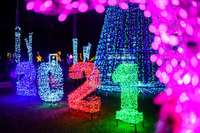 Illuminated christmas tree at night