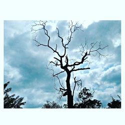 Low angle view of bare tree against cloudy sky