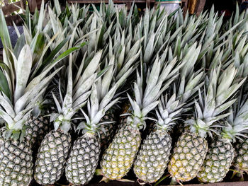 Full frame shot of fruits for sale in market