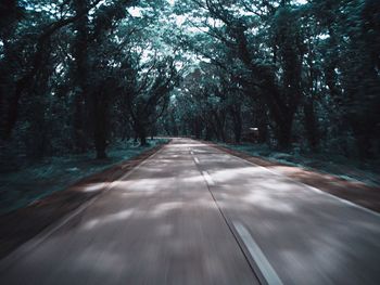 Road amidst trees in forest