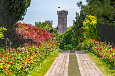 Footpath amidst plants and trees in park