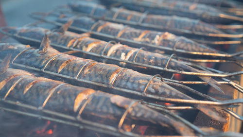 Close-up of mackerels cooking on barbecue grill