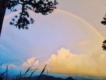 Low angle view of rainbow against sky
