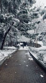 Footpath by snow covered park in city