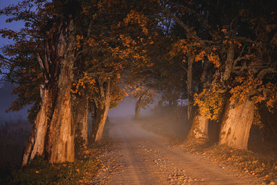 Road amidst trees during autumn