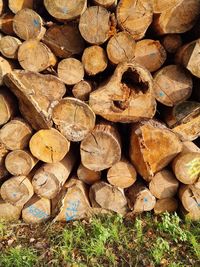 Full frame shot of logs