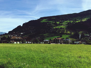 Scenic view of field against sky