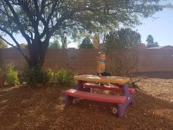 Boy sitting on slide in park