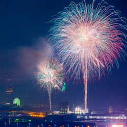 Low angle view of firework display at night