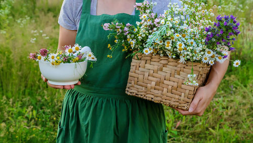 Midsection of woman holding flowers in mortar and basket