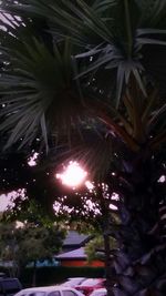 Street lights in the dark
