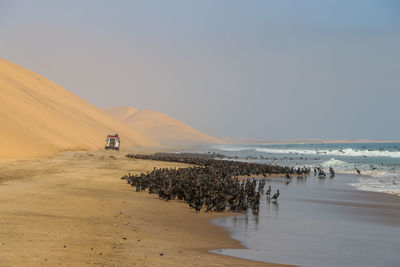 Jeep driving along skeleton coast