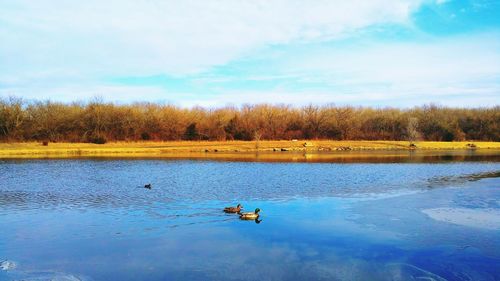 Scenic view of lake against sky