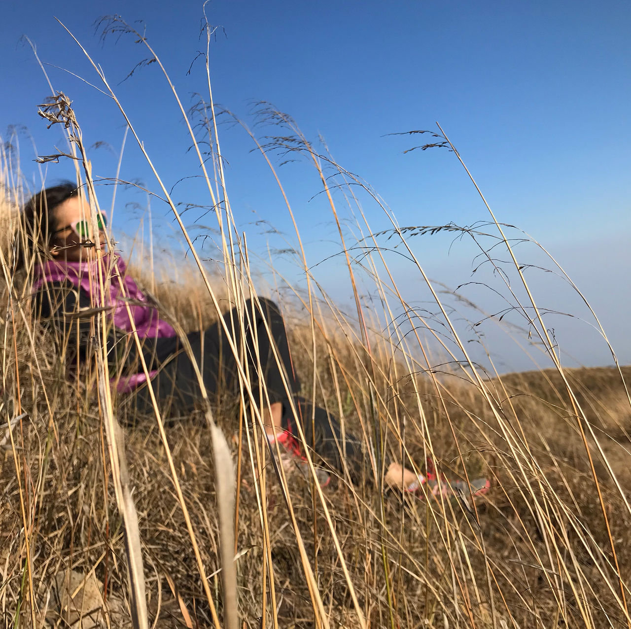 sky, plant, land, nature, one person, field, day, growth, landscape, real people, beauty in nature, tranquility, women, environment, clear sky, grass, sunlight, lifestyles, outdoors, hairstyle