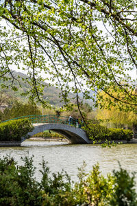 Bridge over river