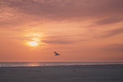 Scenic view of sea against orange sky