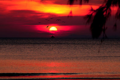 Scenic view of sea against orange sky