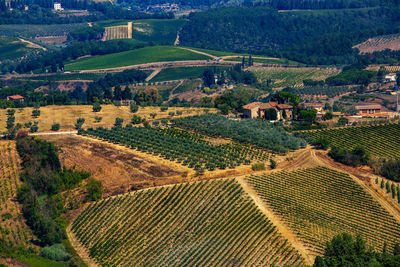 High angle view of agricultural field