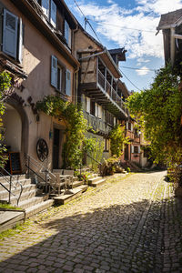 Empty alley amidst buildings in town