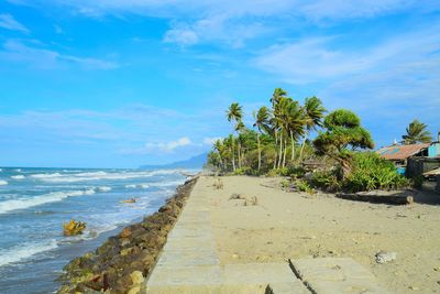 Scenic view of palm trees on beach against blue sky