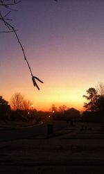 Silhouette of trees at sunset