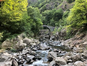 Scenic view of river flowing through rocks in forest