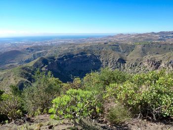 Scenic view of landscape against blue sky