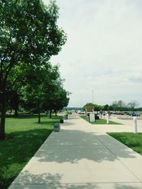 Trees in park