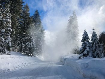 Scenic view of snow covered trees against sky