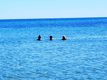 People swimming in sea against clear sky