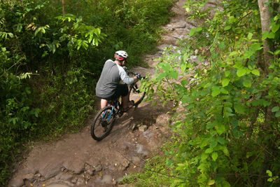 Man riding bicycle on plants