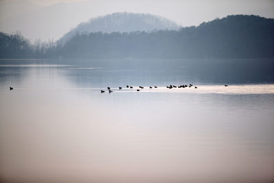 Scenic view of calm lake