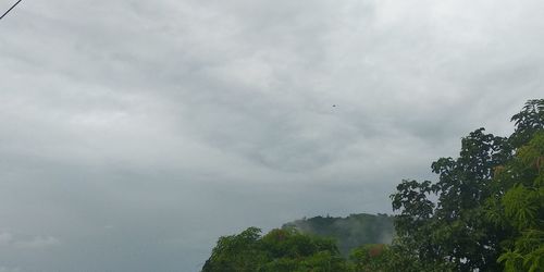 Low angle view of trees against sky