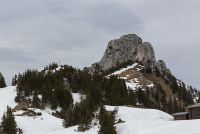 snow