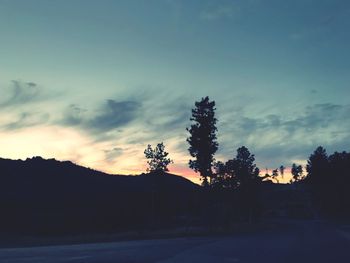 Silhouette trees against sky at sunset