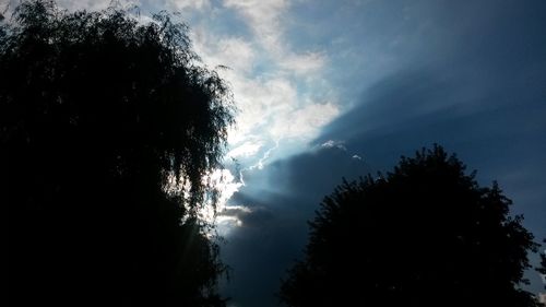 Low angle view of silhouette trees against sky