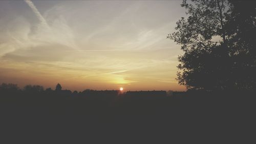 Silhouette trees against sky during sunset