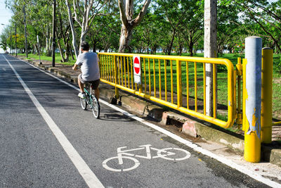 Man riding bicycle on road